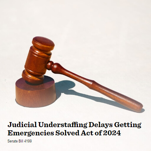 S.4199 118 Judicial Understaffing Delays Getting Emergencies Solved Act of 2024