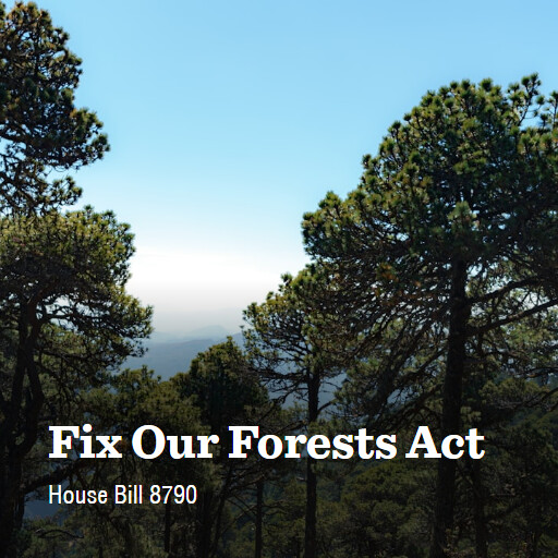 H.R.8790 118 Fix Our Forests Act