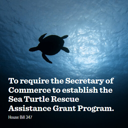 H.R.347 119 To require the Secretary of Commerce to establish the Sea Turtle Rescue Assistance Grant P