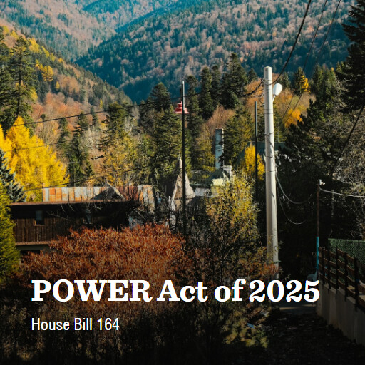 H.R.164 119 POWER Act of 2025