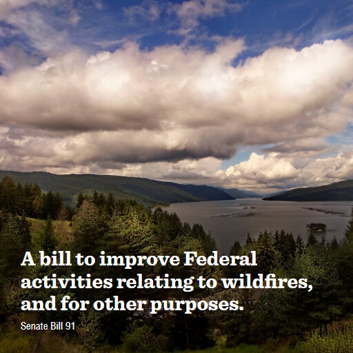 S.91 119 A bill to improve Federal activities relating to wildfires and for other purposes