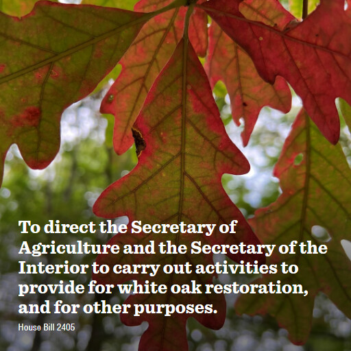 H.R.2405 119 To direct the Secretary of Agriculture and the Secretary of the Interior to carry out acti