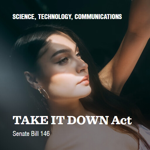S.146 119 TAKE IT DOWN Act