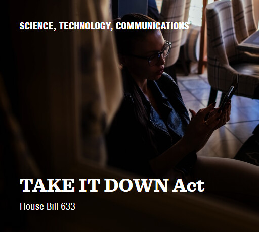 H.R.633 119 TAKE IT DOWN Act