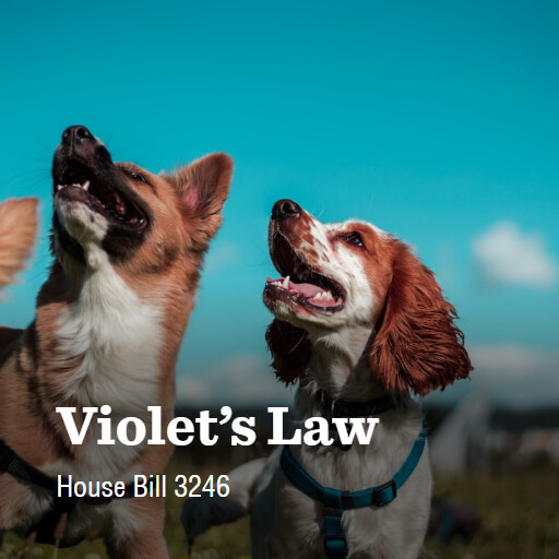 H.R.3246 119 Violets Law