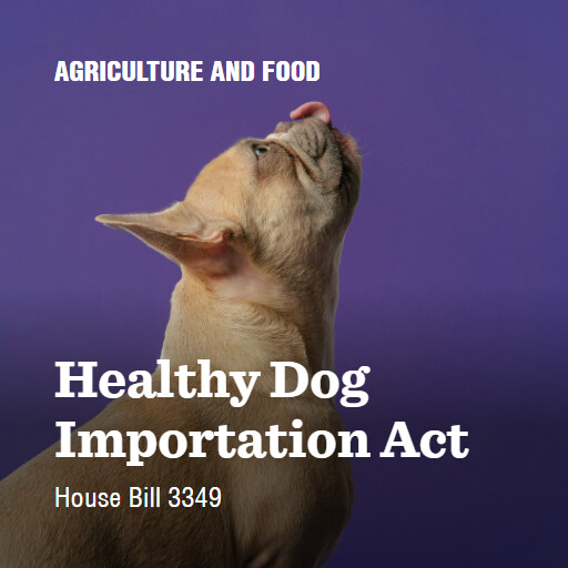 H.R.3349 119 Healthy Dog Importation Act