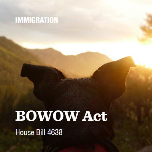 H.R.4638 119 BOWOW Act