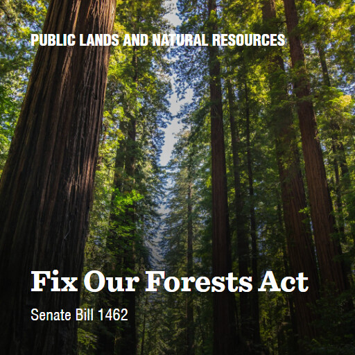S.1462 119 Fix Our Forests Act