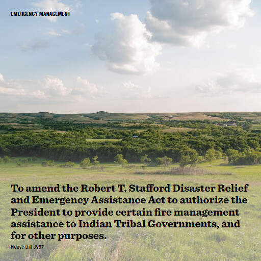 H.R.3957 119 To amend the Robert T Stafford Disaster Relief and Emergency Assistance Act to authorize t