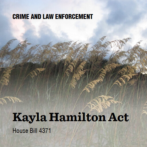 H.R.4371 119 Kayla Hamilton Act