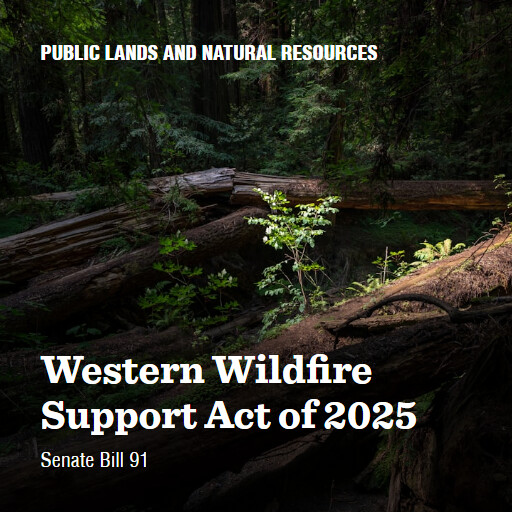 S.91 119 Western Wildfire Support Act of 2025