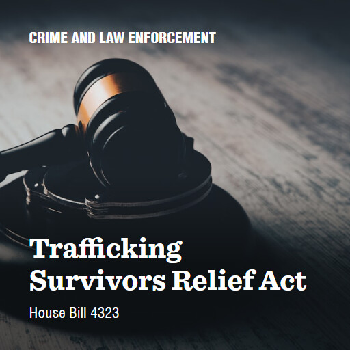H.R.4323 119 Trafficking Survivors Relief Act