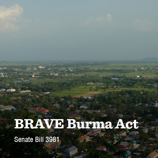 S.3981 119 BRAVE Burma Act