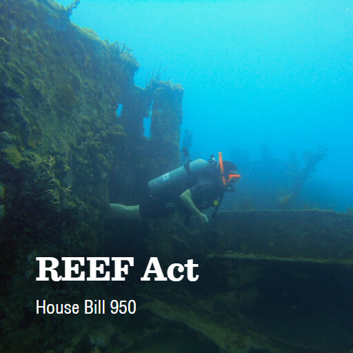 H.R.950 118 REEF Act