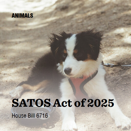 H.R.6716 119 SATOS Act of 2025