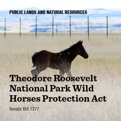 S.1377 119 Theodore Roosevelt National Park Wild Horses Protection Act